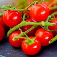 Nasiona i cebule - Pomidor Malinowy Kapturek do 600 szt. owoców cherry wysoki nasiona warzyw - miniaturka - grafika 1