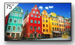 Sony FW-75BZ30J - Monitory reklamowe i wyświetlacze - miniaturka - grafika 1