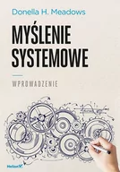 Ekonomia - Myślenie systemowe Wprowadzenie Donella H Meadows - miniaturka - grafika 1