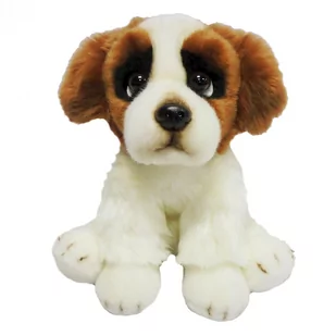 Anek, maskotka, pies Bernardyn, 30 cm - Maskotki i pluszaki - miniaturka - grafika 1