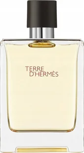 Hermes Terre D'hermes Eau De Toilette Purškiklis 100ml - Wody i perfumy męskie - miniaturka - grafika 1
