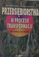Biznes - Przedsiębiorstwa w procesie transformacji - miniaturka - grafika 1
