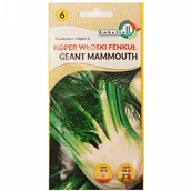 Nasiona i cebule - Koper włoski fenkuł Geant Mammouth 1g / L / - miniaturka - grafika 1