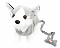 Maskotki i pluszaki - Norimpex Pies na smyczy Husky 32cm NO-1002315 - miniaturka - grafika 1