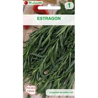 Nasiona i cebule - Estragon W.Legutko - miniaturka - grafika 1