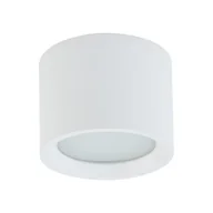 Lampy sufitowe - Maun lampa sufitowa 1xGX53/IP54 biała 10481 - miniaturka - grafika 1