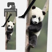 Zakładki do książek - Zakładka 3D 15405 - Panda - IF - miniaturka - grafika 1