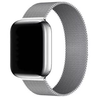 Pasek LUNA do Apple Watch 3/4/5/6/7/8/SE (42/44/45 mm) A00118 Srebrny - Akcesoria do smartwatchy - miniaturka - grafika 1