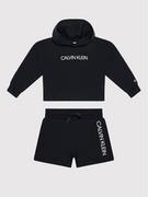 Calvin Klein Jeans Dres Logo Boxy IG0IG01061 Czarny Regular Fit