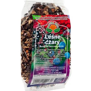 NATURA-WITA NATURA-WITA herbata Leśne Czary 100g - Zioła - miniaturka - grafika 3