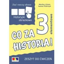 Dać rzeczy słowo Co za historia! ćw 3 elementy Iwona Pietrzyk Marika Litwin - Pedagogika i dydaktyka - miniaturka - grafika 1