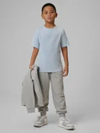 Spodnie i spodenki dla chłopców - 4F Spodnie dresowe joggery chłopięce - szare 164 (13-14 lat) - miniaturka - grafika 1