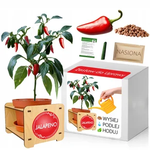 PAPRYKA CHILI JALAPENO - ZESTAW DO UPRAWY - Nasiona i cebule - miniaturka - grafika 1