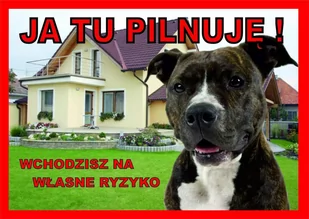 Rokus Rokus Tabliczka "Ja tu pilnuję" amstaff - Pozostałe akcesoria dla psów - miniaturka - grafika 1