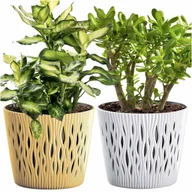 Donice - Doniczka Okrągła Osłonka Domowa Kwietnik Zestaw X2 Muszt-Biała - miniaturka - grafika 1