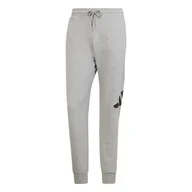Spodnie męskie - Męskie Spodnie ADIDAS M BL FT PT JE8969 – Szary - miniaturka - grafika 1