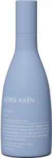 Björn Axen Repair Szampon do włosów 250 ml - Szampony do włosów - miniaturka - grafika 1