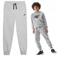 Moda i Uroda OUTLET - Spodnie bawełniane joggery chłopięce 4F - miniaturka - grafika 1