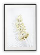 Plakaty - Plakat B2 50x70 cm Kwiaty Rośliny Natura Zieleń WZORY - miniaturka - grafika 1