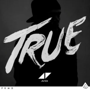 True LP) - Muzyka klubowa, dance - miniaturka - grafika 1
