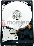 Dyski serwerowe - Western Digital Dysk serwerowy WD RE 500GB 3.5'' SATA III 6 Gb/s WD5003ABYZ - miniaturka - grafika 1