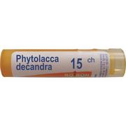 Homeopatia - Boiron Phytolacca decandra, 15 CH, gran., 4 g,(MZ19267) 8434422 - miniaturka - grafika 1
