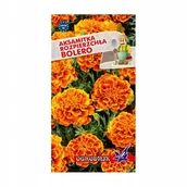 Nasiona i cebule - Aksamitka rozpierzchła Bolero 1g / O / - miniaturka - grafika 1