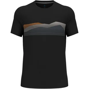 Koszulka z krótkim rękawem męska ODLO F-Dry Ridgeline T-Shirt Crew Neck s/s - Koszulki sportowe męskie - miniaturka - grafika 1