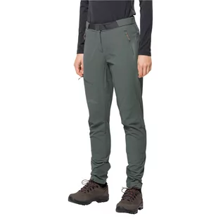 Spodnie sportowe damskie - Damskie spodnie softshellowe Jack Wolfskin ZIEGSPITZ PANTS W slate green - 34 - grafika 1