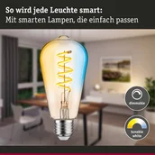 Żarówki LED - Paulmann rustykalna LED ZigBee E27 7,5W CCT złota - miniaturka - grafika 1
