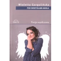 Pod skrzydłami anioła Nowa - Poezja - miniaturka - grafika 1