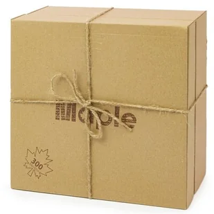 Klocki drewniane MAPLE EcoPack ECO300 - Klocki - miniaturka - grafika 1