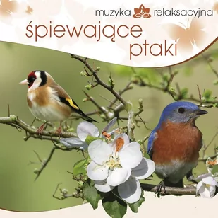 MUZYKA RELAKSACYJNA. ŚPIEWAJąCE PTAKI CD - LECH KOWALSKI - Muzyka relaksacyjna - miniaturka - grafika 1