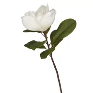 Sztuczne kwiaty - Sztuczny Kwiat Hiya Sztuczny Magnolia 70 Cm Homla - miniaturka - grafika 1