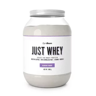Białko Just Whey GymBeam Premium WPC WPI 1000 g - blueberry yoghurt - Odżywki białkowe - miniaturka - grafika 1