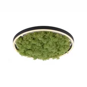 Lampy sufitowe - ZUMA LINE 15391-66 LAMPA SUFITOWA GREEN RITUS - miniaturka - grafika 1