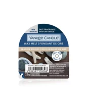 Zapachy do domu - Yankee Candle Yankee Candle Wax Melt Zapachowy Wosk Seaside Woods - miniaturka - grafika 1
