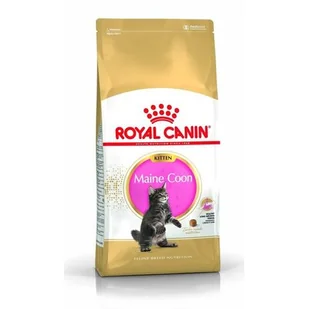 Royal Canin Maine Coon Kitten 4 kg - Sucha karma dla kotów - miniaturka - grafika 2