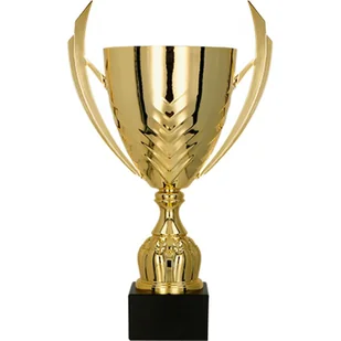 Puchar metalowy złoty - Gadżety dla kibiców - miniaturka - grafika 1