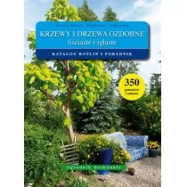 Mynett Maciej, Tomżyńska Magdalena Krzewy i drzewa ozdobne liściaste i iglaste - Pozostałe książki - miniaturka - grafika 1