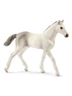 Zabawki kreatywne - Schleich Figurka "Holsteiner foal" do zabawy - 3+ - miniaturka - grafika 1
