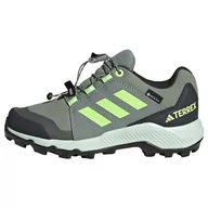 Buty dla chłopców - adidas Terrex Gore-tex dziecięce buty trekkingowe, unisex, niskie, Srebrny zielony zielony kryształowy jadeit, 5.5 UK Child - miniaturka - grafika 1