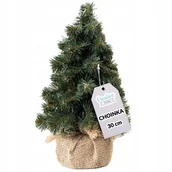 Choinki - Choinka Sztuczna Do Dekoracji Boże Narodzenie 30Cm - miniaturka - grafika 1
