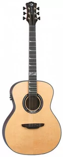 Luna Guitars Art Nouveau sygnały akustyczne gitara elektryczna ART NOUVEAU - Gitary akustyczne - miniaturka - grafika 1