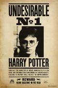 Plakaty - Plakat Harry Potter Poszukiwany Wanted 61X91,5Cm - miniaturka - grafika 1