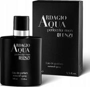 Wody i perfumy męskie - J Fenzi Ardagio Aqua Perfect woda perfumowana męska 100 ml - miniaturka - grafika 1