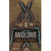 Religia i religioznawstwo - WAM Aniołowie Medytacje biblijne - Stanisław Biel - miniaturka - grafika 1