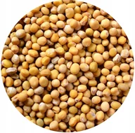 Przyprawy i zioła sypkie - GORCZYCA BIAŁA ZIARNO 1000g - miniaturka - grafika 1