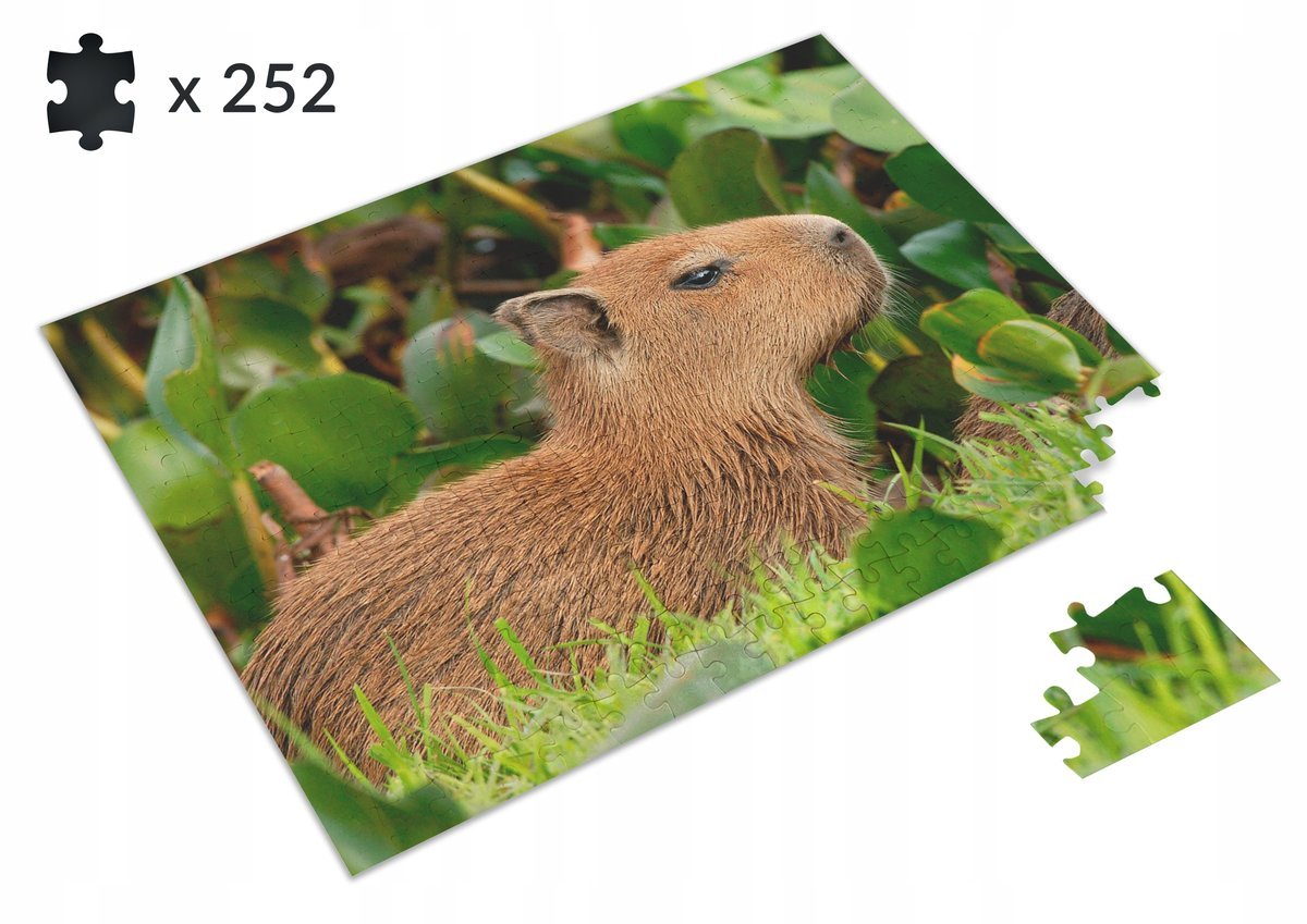 Puzzle Kapibara + IMIĘ w prezencie Prezent A3 252 el #3