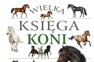 Voucher na poradniki, słowniki i encyklopedie - Czasopisma - miniaturka - grafika 1